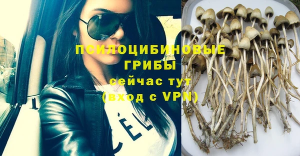 молекула духа Новодвинск