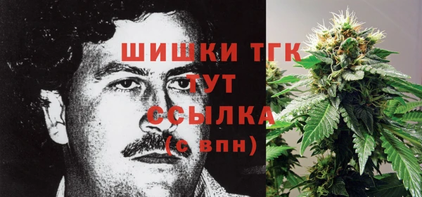 молекула духа Новодвинск