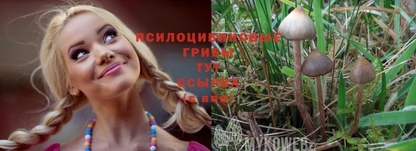 ПСИЛОЦИБИНОВЫЕ ГРИБЫ Нефтекумск